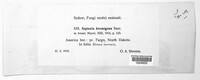 Image Associated With the Occurence